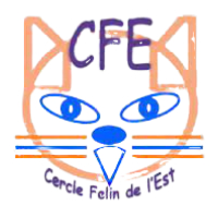cercle-felin-est-logo_qxzem4