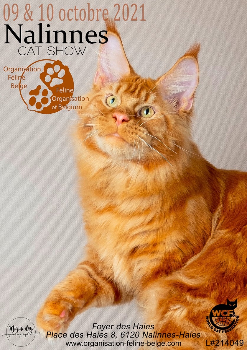 ofb-affiche-exposition-nalines-2021