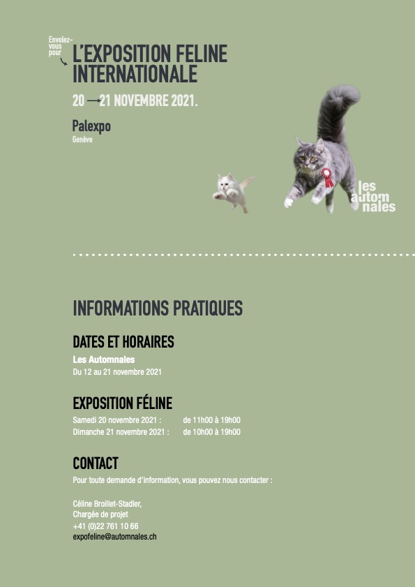 plaquette-felins-21_0311